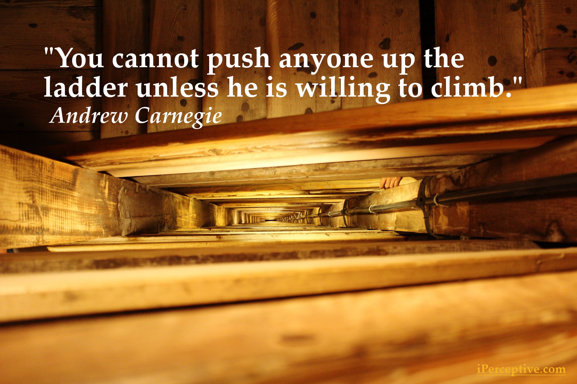 Andrew Carnegie Quote - You cannot push anyone up the ladder...